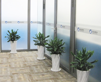 �����̻�����ֲ��